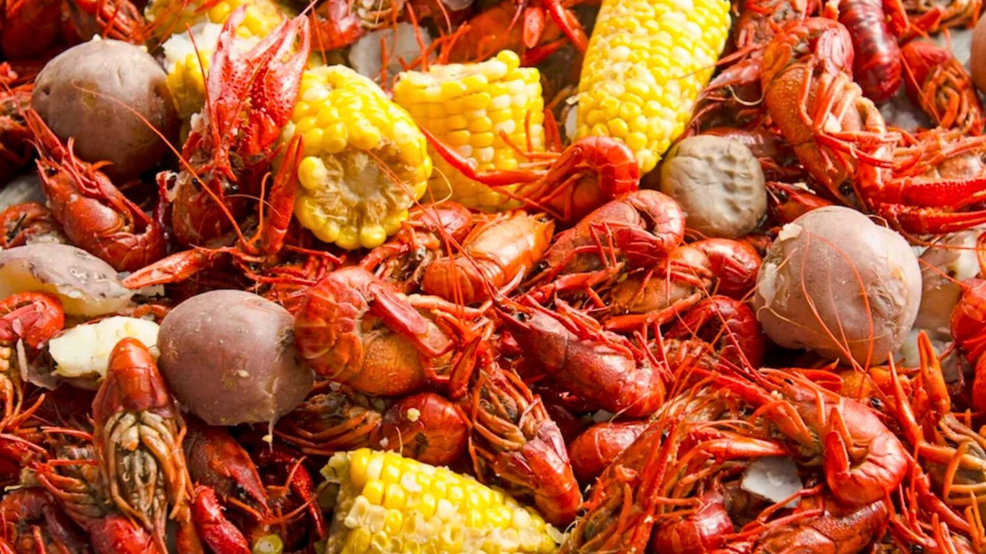 crawfish and corn and potatoes close up_16x9 (1)
